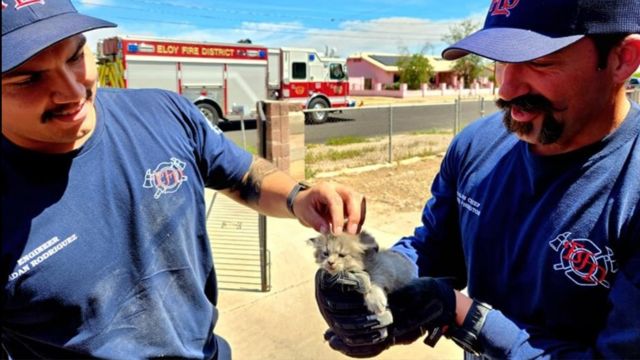 Eloy Firefighters Rescue Kittens from Engine Compartment